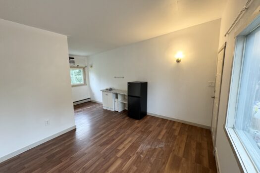 Unit #4-4690 50th St NE, Salmon Arm, V1E 1Y6