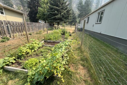 4345 Mountain Road, Barriere, V0E 1E0